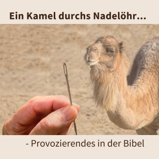 Sommerpredigtreihe