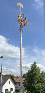 Maibaum 2026