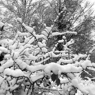 Schnee 23