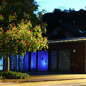 Blau 26 2