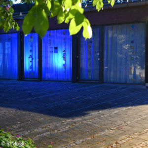 Blau 26 5