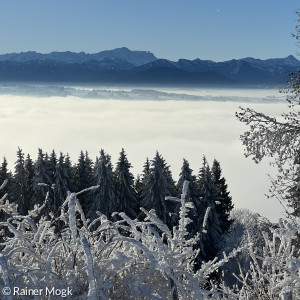 Zugspitzblick Winter Hpbg