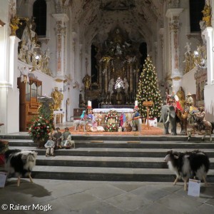 kath. Kirche Rottenbuch innen Weihnachten