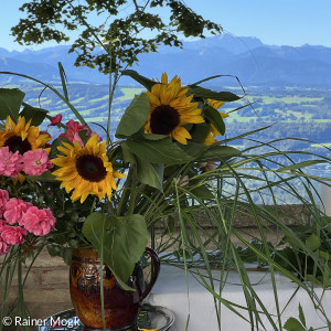 Blumen bei Berggottesdienst 25