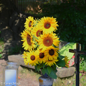 Sommerfest 22 Blumen